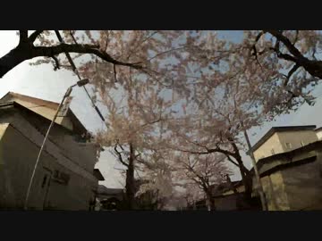 【車載動画】函館市 桜が丘通【北海道】