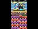 【パズドラ】ワダツミ降臨 大海神 超地獄級 LF赤ソニア ノーコン