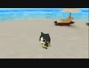 Vibgyor_メラルー V2_beach.avi