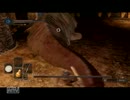 【ダークソウル２】　己の闇と黄昏と実況 part38
