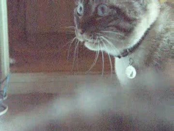 昼も夜もジャンくんにはかなわんわぁ