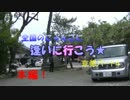 全国のにゃんこに逢いに行こう１５