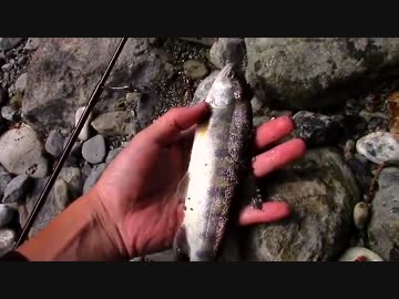 【アウトドア】多摩川支流で渓流釣り＆キャンプ Part1【自然】