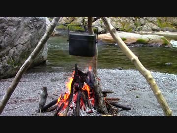 【アウトドア】多摩川支流で渓流釣り＆キャンプ Part2(ラスト)【自然】