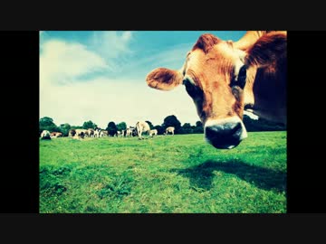 peakedyellow - ハッピーピープル