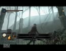 【ダークソウル２】　己の闇と黄昏と実況 part39