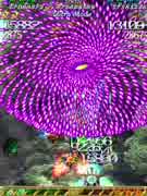 虫姫さまふたり ノービス ウルトラ ノマレコ&アブパル 1