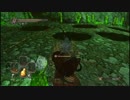 【オフラインな】ダークソウル2初見実況プレイ 第78話【DARK SOULS Ⅱ】