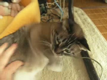 ディープになってきたジャンくんとパパの関係