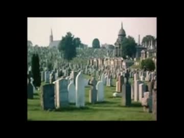 ホモと学ぶ1ヶ月マクドナルド生活3/3.burgerking