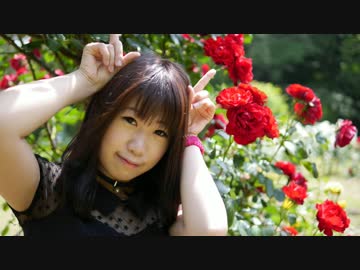 【おり・ω・】おじゃま虫 踊ってみた【とちゅう、ねこみみ。】