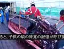【激レア】鯨の解体作業
