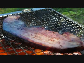 休日日帰り昼寝つー【Faki】