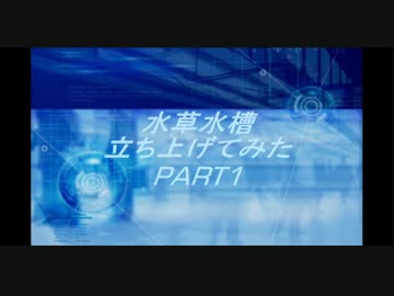 60cm水草水槽立上げてみた【PART 1】