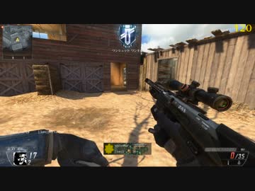 【PC版：CoD BO2】まぁすぃのDSRでBOT撃ち