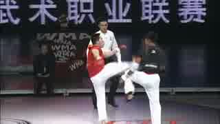 中国武術 WMA - Wushu Masters Association