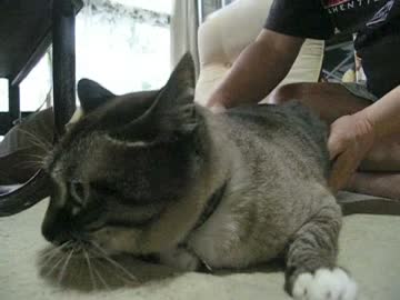 高い高い、ジャンくんを30cm持ち上げました！