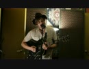 Terraplane Sun - Ya Never Know (live)