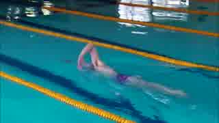 人気の クロール 動画 93本 ニコニコ動画