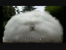 エミネムさんがごちうさの見どころを教えてくれるそうです