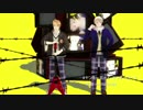 【APヘタリア人力ボカロ】こるろとひーろの作業用BGM【part2】