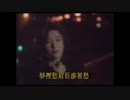 石井明美『ジュテーム悲しみの見える窓』広東語版…甄楚倩「霓虹玩偶」