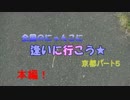 全国のにゃんこに逢いに行こう１６