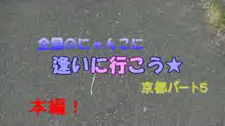 全国のにゃんこに逢いに行こう１６