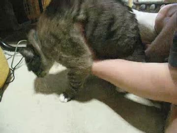 見落としがちなジャンくんの大きな変化