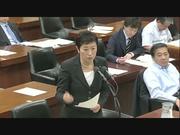 H26/6/6 衆議院安全保障委・辻元清美【集団的自衛権について激しく追及】