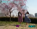 【咲倉ゆり×るき】Colorful_Candy_Rain【踊ってみた】
