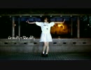 しぃ葉。　Gravity=Reality　踊ってみた(はず)