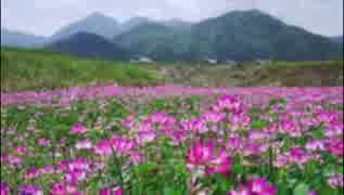 僧園幻想/鈴木輝昭