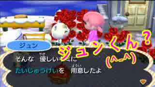 【とびだせどうぶつの森】ジュンとけっこんするために実況プレイpart23