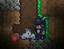 【縛り実況】ＰＣ版Terrariaを色々と楽しみながらとにかく遊ぶ実況part24