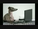おもしろ犬動画　犬たちの反逆の映画　第１話
