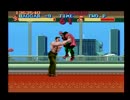 （旧記録）SFC ファイナルファイト ハガー RTA 30:35