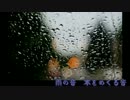 【環境音】雨の日の室内　本をめくる音