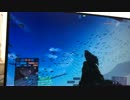 BF4バグ