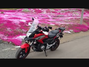 続　花より団子なツーリング