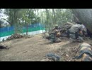東風に導かれてサバゲいってきた【Yanexでロシア編Last】