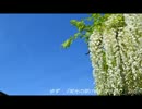 ゆずの『栄光の架橋』を全力で弾き語ってみました