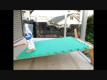 木のおもちゃ？(カルピスの歩行)