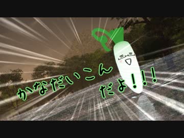 かなだいこんだよ