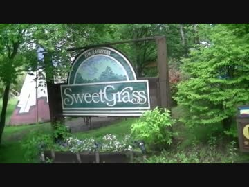 【アウトドア】ぽしゅるのソロキャンプライフ 北軽井沢編