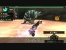 【MHP3】 あたしとアムニスがこんなに弱いはずがないAS Ep15.1