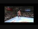 2013/4/29　【GAORA SPECIAL 2013 チャンピオン・カーニバル 準決勝】　秋山準　VS　真田聖也　