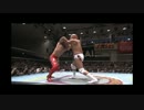 2013/4/29　【GAORA SPECIAL 2013 チャンピオン・カーニバル 優勝決定戦】　KAI　VS　秋山準　