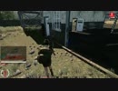 のんびりInfestation その01
