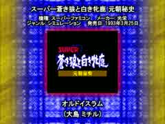 SFC SNES スーパー蒼き狼と白き牝鹿 オルドイスラム